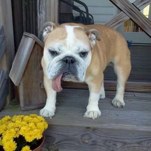 Meet your Posher, Tracy